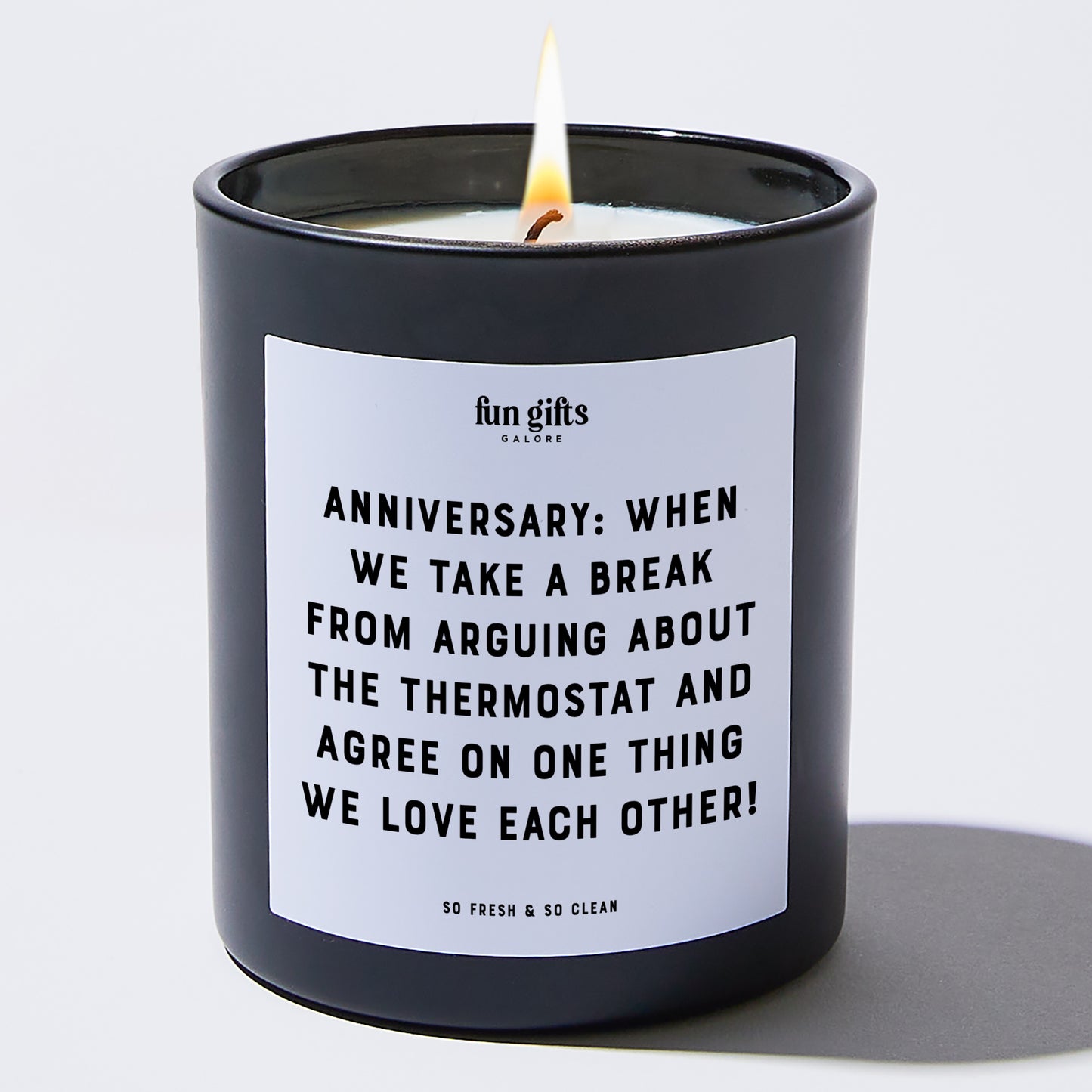 Anniversary Present - Anniversary: When We Take a Break From Arguing About the Thermostat and Agree on One Thing – We Love Each Other! - Candle